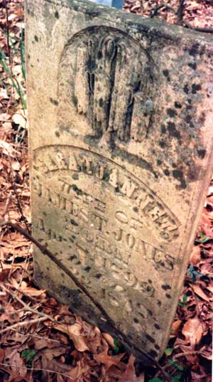 sara1.jpg (45458 bytes)
